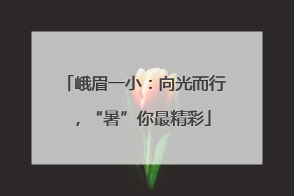 峨眉一小：向光而行，“暑”你最精彩